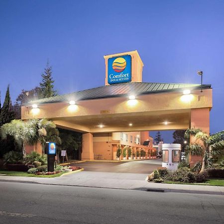 Comfort Inn & Suites Oakland Airport Zewnętrze zdjęcie